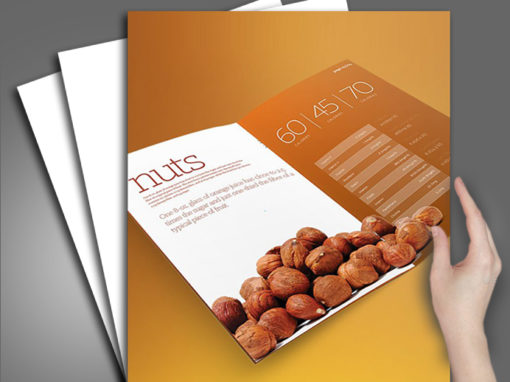 Nuts Company Branding and Identity