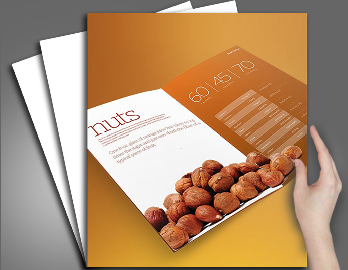 Nuts Company Branding and Identity